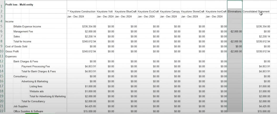 Eliminations-based consolidated multi-entity report